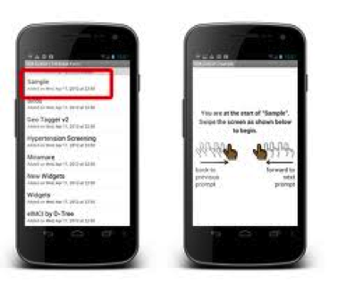 Survey Interface in ODK Collect