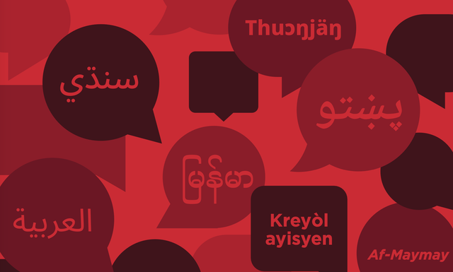 How to Include Marginalized Language Speakers in Development